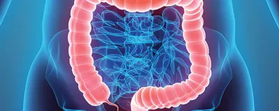 Coloscopie Virtuelle